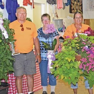 OPEN CLASS WINNERS