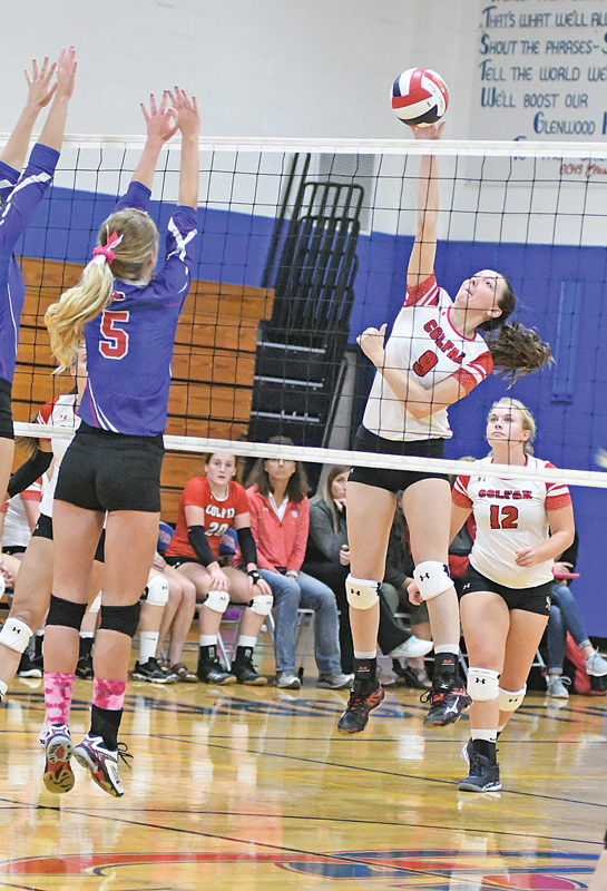 Colfax Vikings volleyball has another strong week of play The Tribune