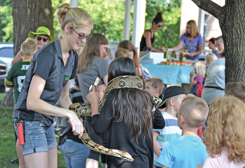 Snake Discovery boa kids