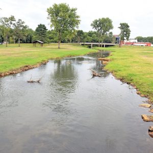 Tiffany Creek Restoration
