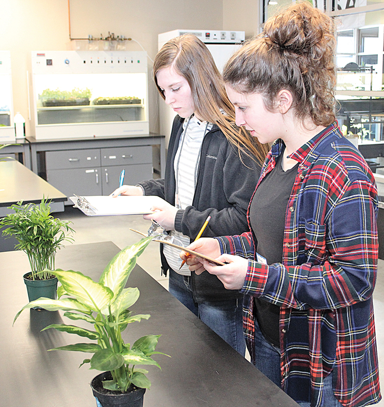 Ag Skills-GCity Eliza Voeltz and Aubree Logghe