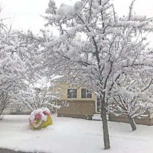 Snow on Easter