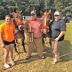 Soppa family with horses