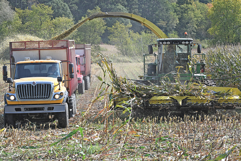 Chopping Corn 2020