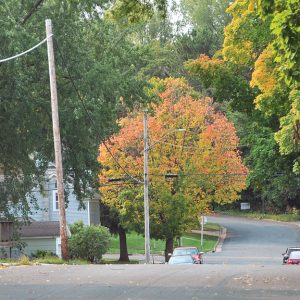 Fall colors photo