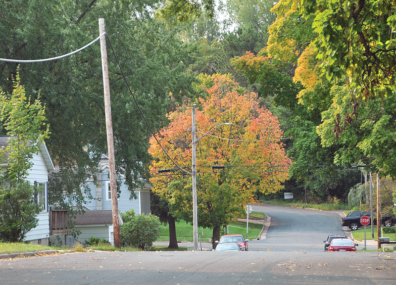Fall colors photo 