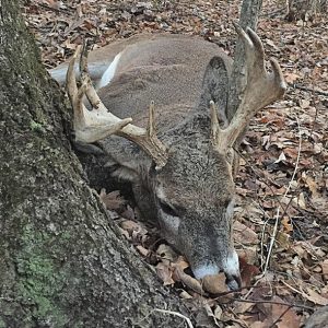 Kevin Standaert buck photo