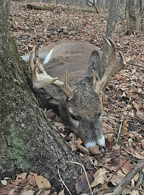 Kevin Standaert buck photo