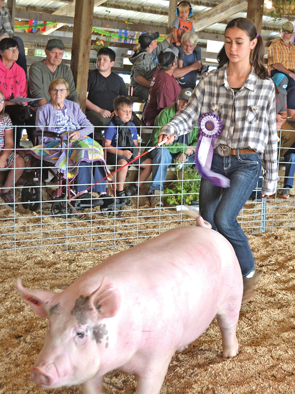 Colfax fair auction Abigail Sikora
