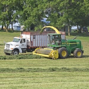 HAYING TIME — With the sun shining, workers at Lofty Acres Dairy in Glenwood City were busying cutting and chopping a crop of hay lat Thursday, July 1 on a field just north of State Road 170 between Glenwood City and Downing. —photo by Shawn DeWitt