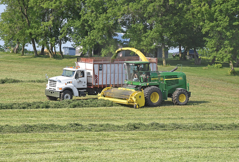HAYING TIME — With the sun shining, workers at Lofty Acres Dairy in Glenwood City were busying cutting and chopping a crop of hay lat Thursday, July 1 on a field just north of State Road 170 between Glenwood City and Downing. —photo by Shawn DeWitt