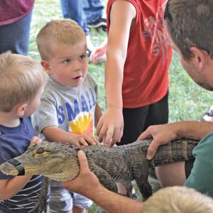 MONTY’S TRAVELING REPTILE SHOW — Glenwood City native Brian Teigen brought several of his reptiles to share with the audience at the St. Croix County Fair on Friday. These little guys were thrilled to be able to touch a live alligator. —photo by Carole Schurtz