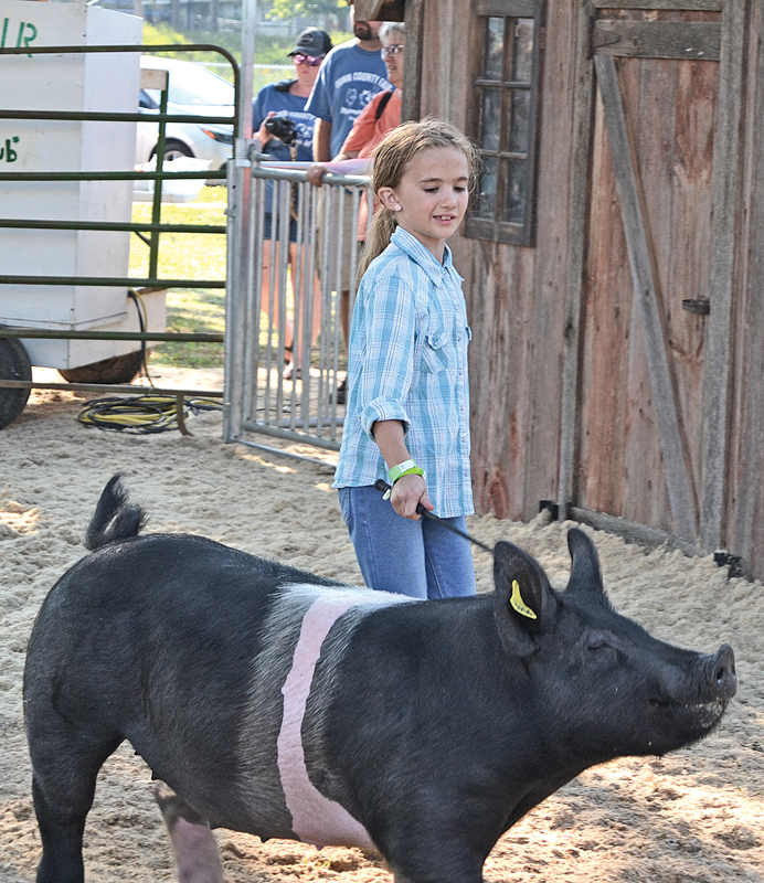 ELK MEADOW 4-H CLUB — Alyssa Voight, a member of the Elk Meadow 4-H Club, sold her crossbred market gilt for $6.75 per pound to Eau Galle Cheese at the Dunn County Fair meat animal auction July 24. —photo by LeAnn R. Ralph 