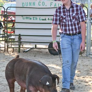 $43 PER POUND — Brian Styer, a member of the Willing Workers 4-H Club, sold his purebred market barrow for $43 per pound to Midwest Nutrition at the Dunn County Fair meat animal auction July 24. —photo by LeAnn R. Ralph