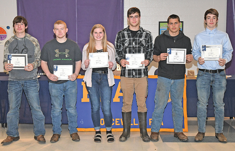 2019_BV FFA Banquet_0021