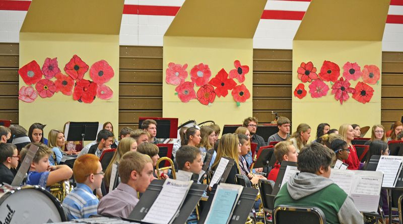 Colfax_Veterans_Day_poppies_November_2018
