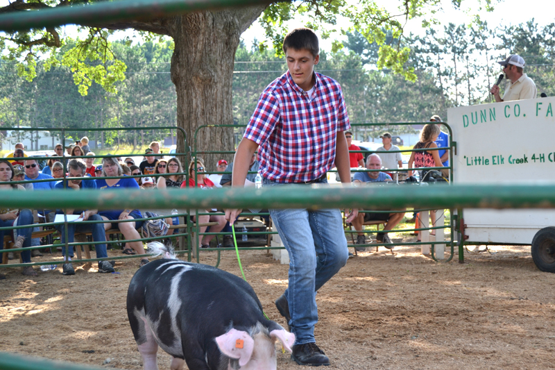DCFair meat animal John Klefstad auction Boyceville FFA