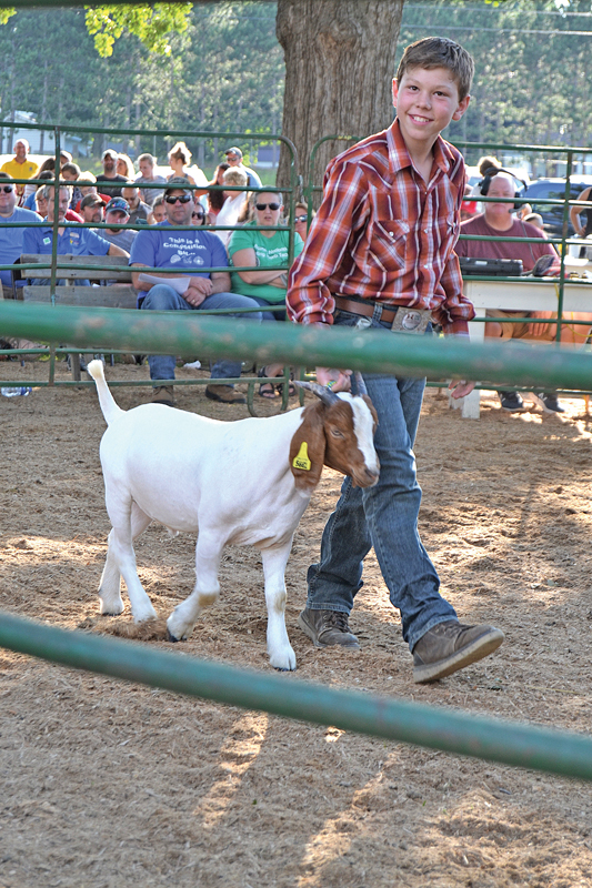 DCFair meat animal auction Rownan Soul-Stewart