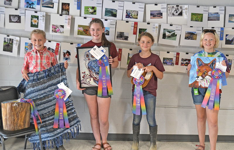 DC_Fair_Awards_Excellence_cultural_arts_July_2019