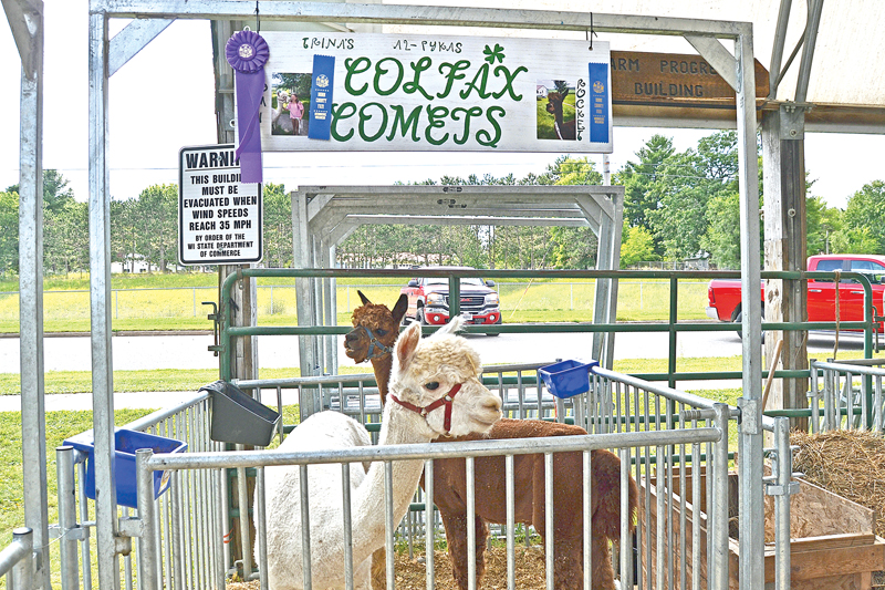 DC Fair Colfax Comets sign