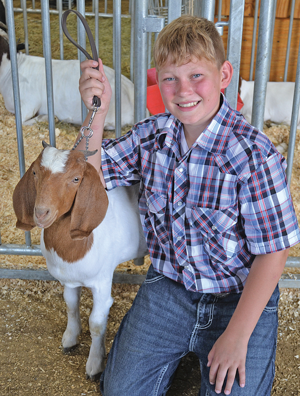 DC Fair Evan Berg Jr showmanship goat