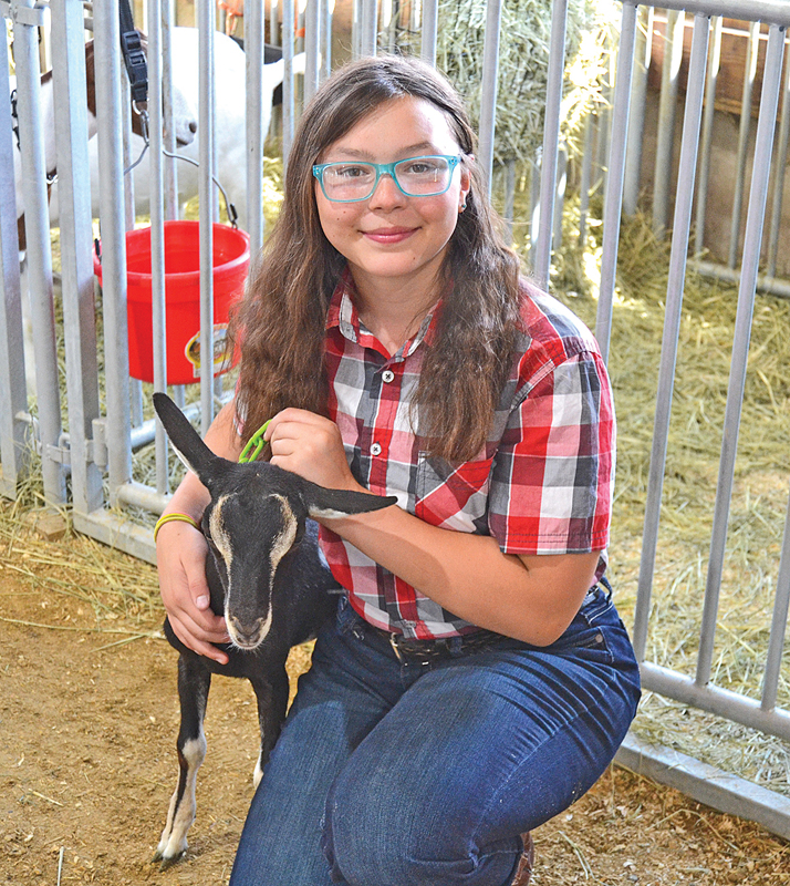 DC Fair River Soul-Stewart GC dairy goat