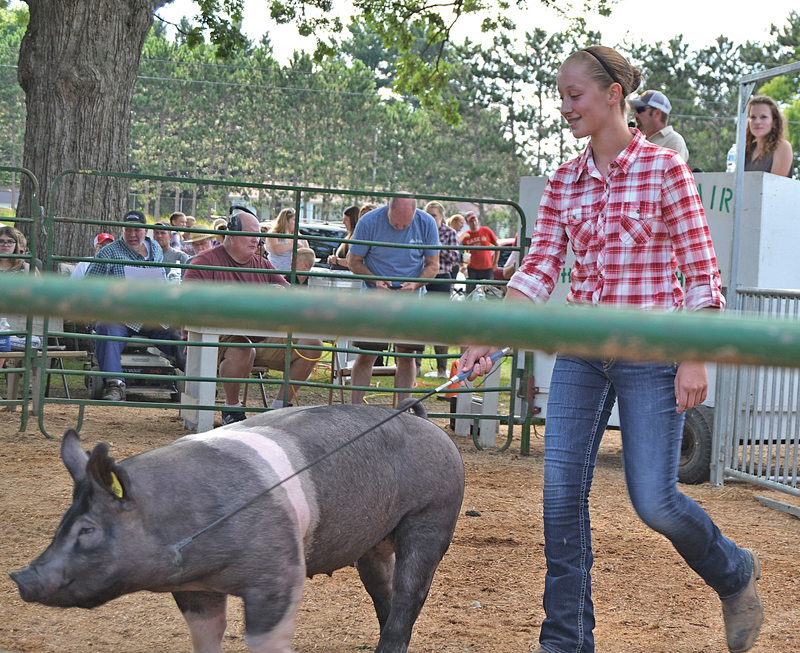 DC Fair meat animal auction Chloe Dummer