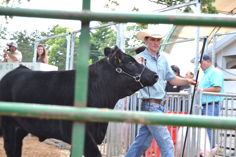 DC Fair meat animal auction Delan Keyes