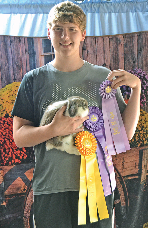 DC_fair_Kyle_deling_rabbits_July_2019